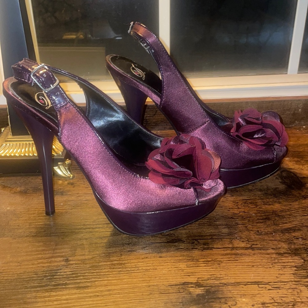 D Heart Lady’s Wine Cocktail Silk Shoes